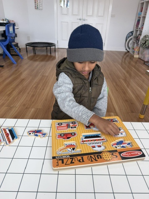 Melissa & Doug Sound Puzzle