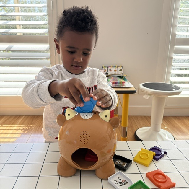Animal Bank Coin Slotting