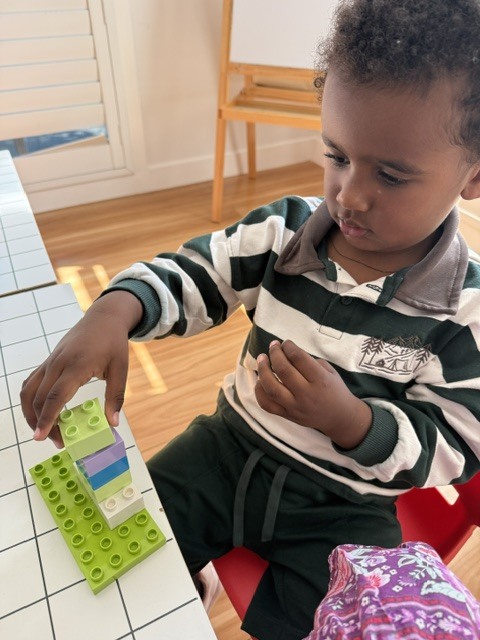 Duplo Construction Play