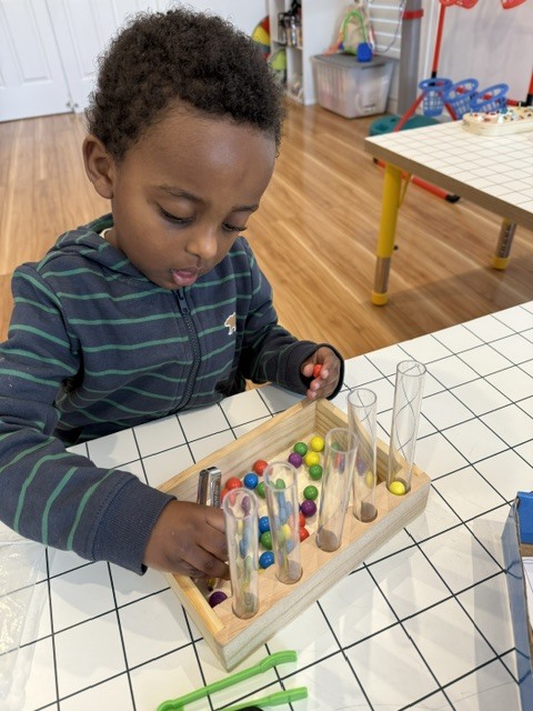 Test Tube Color Sorting